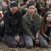 The Walking Dead - galeria zdjęć - filmweb