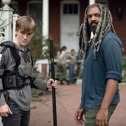 The Walking Dead - galeria zdjęć - filmweb