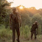 The Walking Dead - galeria zdjęć - filmweb