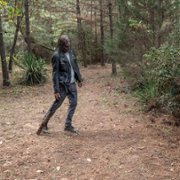 The Walking Dead - galeria zdjęć - filmweb