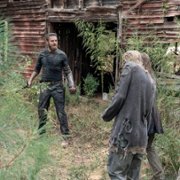 The Walking Dead - galeria zdjęć - filmweb