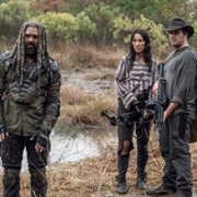 The Walking Dead - galeria zdjęć - filmweb