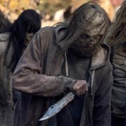 The Walking Dead - galeria zdjęć - filmweb