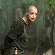 The Walking Dead - galeria zdjęć - filmweb