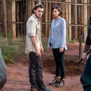 The Walking Dead - galeria zdjęć - filmweb