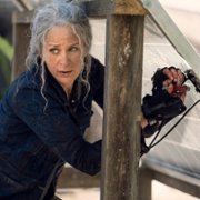 The Walking Dead - galeria zdjęć - filmweb