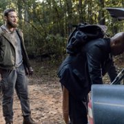 The Walking Dead - galeria zdjęć - filmweb