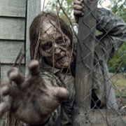 The Walking Dead - galeria zdjęć - filmweb
