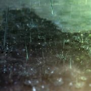 Tenki no Ko - galeria zdjęć - filmweb