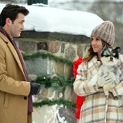 Królewska wystawa - galeria zdjęć - filmweb