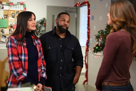 Królewska wystawa - galeria zdjęć - filmweb