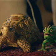 Szkoła magicznych zwierząt 3 - galeria zdjęć - filmweb