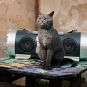 Die Schule der magischen Tiere 3 - galeria zdjęć - filmweb