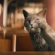 Die Schule der magischen Tiere 3 - galeria zdjęć - filmweb