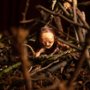 Stopmotion - galeria zdjęć