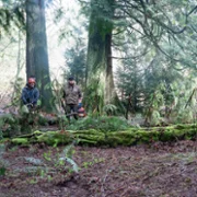 Tracker - galeria zdjęć - filmweb