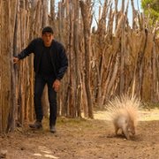 W krainie Malawów - galeria zdjęć - filmweb
