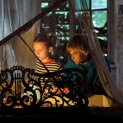 Serce motyla - galeria zdjęć - filmweb