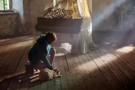 Serce motyla - galeria zdjęć - filmweb