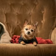 All Together Now - galeria zdjęć - filmweb
