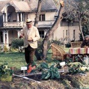 Křeček v noční košili - galeria zdjęć - filmweb