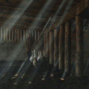 Niech żyją Antypody - galeria zdjęć - filmweb