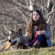 Mystère - galeria zdjęć - filmweb
