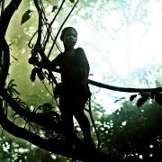 Vinyan - galeria zdjęć - filmweb