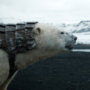 His Dark Materials - galeria zdjęć - filmweb