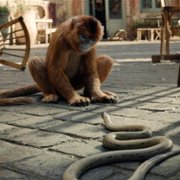 His Dark Materials - galeria zdjęć - filmweb