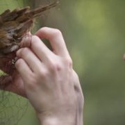 W świecie danych - galeria zdjęć - filmweb