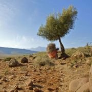 La source des femmes - galeria zdjęć - filmweb