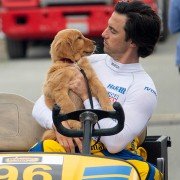 The Art of Racing in the Rain - galeria zdjęć - filmweb