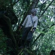 Mushishi - galeria zdjęć - filmweb