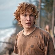 Rój - galeria zdjęć - filmweb