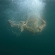 Rój - galeria zdjęć - filmweb