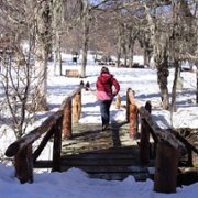 Um Ano Inesquecível - Inverno - galeria zdjęć - filmweb