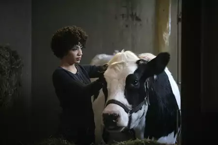 Fringe: Na granicy światów - galeria zdjęć - filmweb