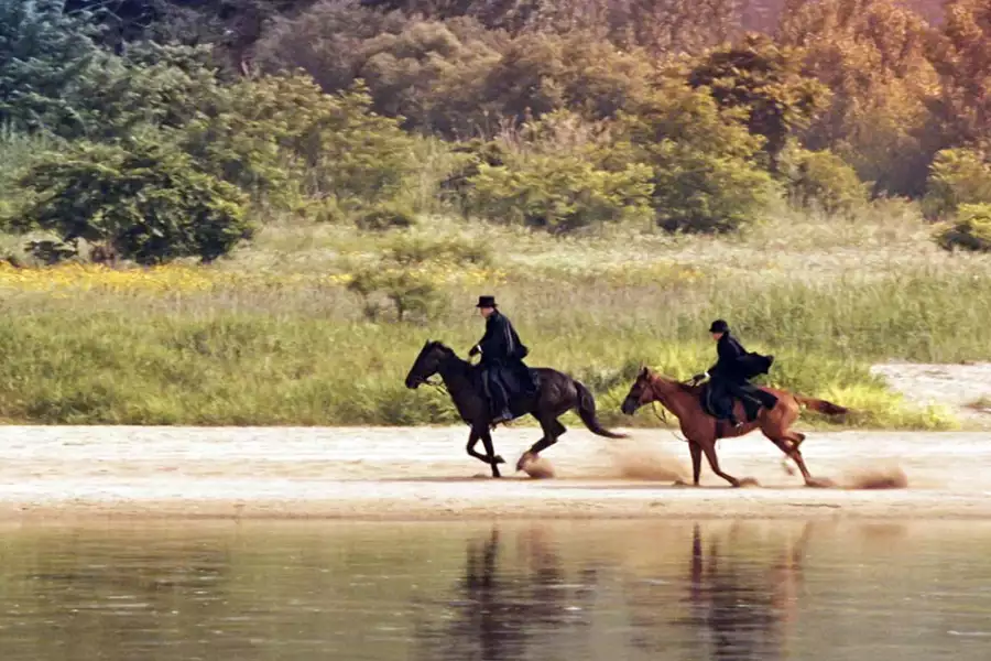 Mr. Sunshine - galeria zdjęć - filmweb
