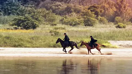 Mr. Sunshine - galeria zdjęć - filmweb