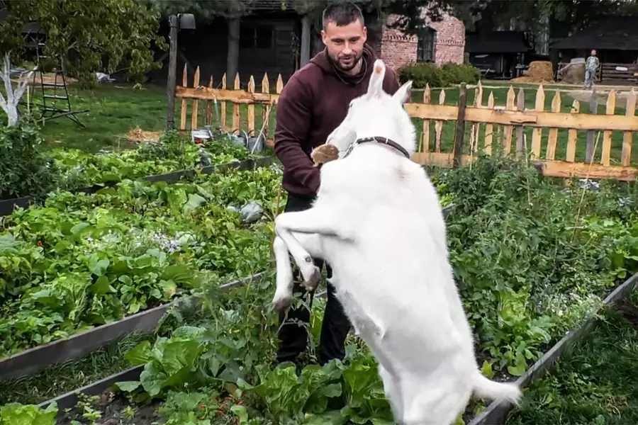 Farma - galeria zdjęć - filmweb