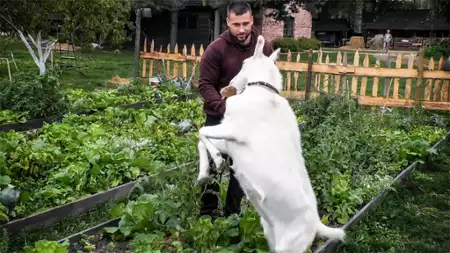 Farma - galeria zdjęć - filmweb