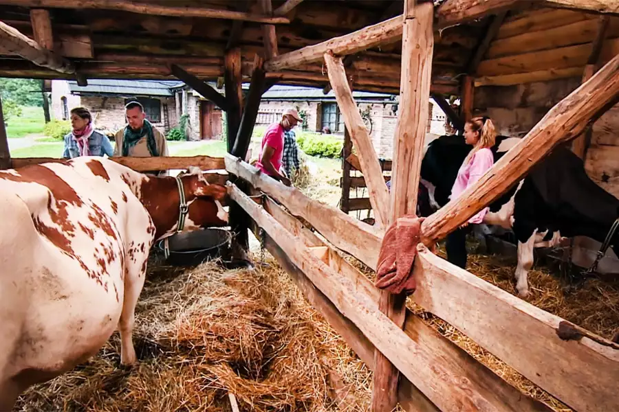 Farma - galeria zdjęć - filmweb