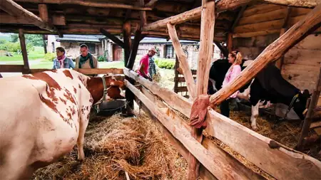 Farma - galeria zdjęć - filmweb