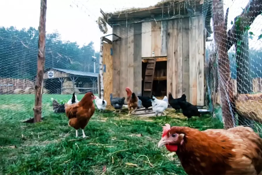 Farma - galeria zdjęć - filmweb