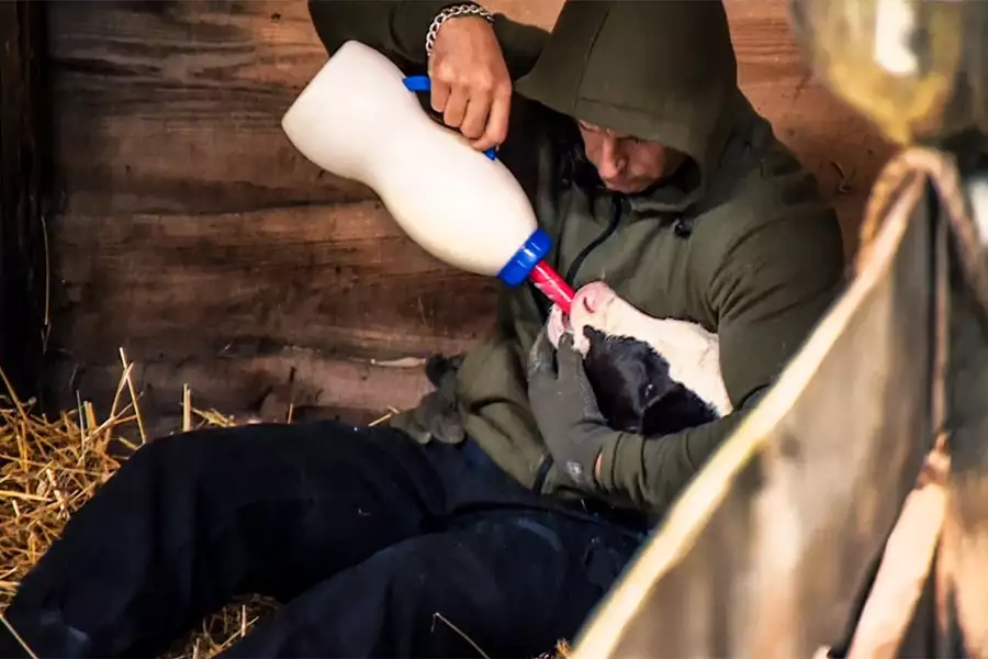 Farma - galeria zdjęć - filmweb