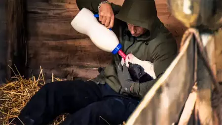 Farma - galeria zdjęć - filmweb