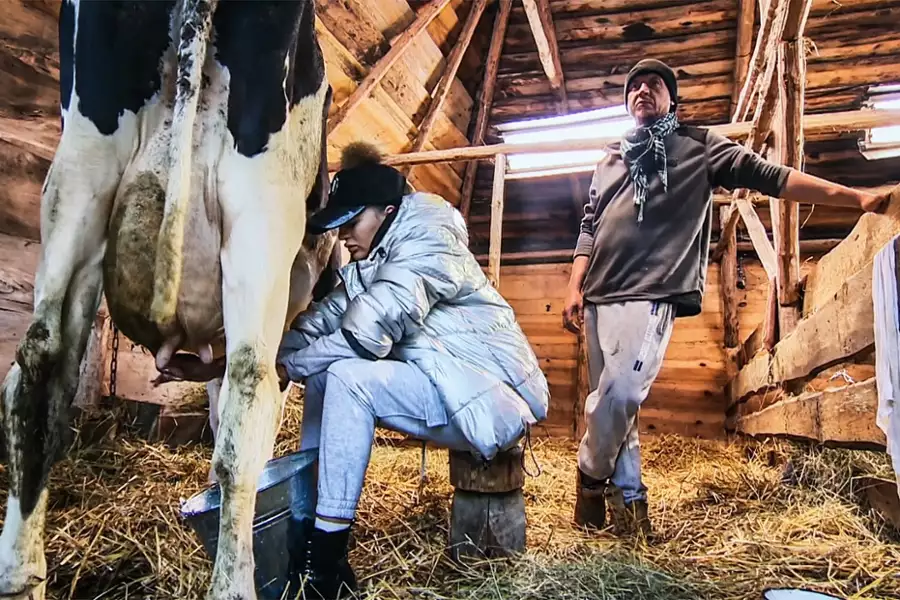 Farma - galeria zdjęć - filmweb