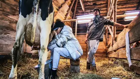 Farma - galeria zdjęć - filmweb