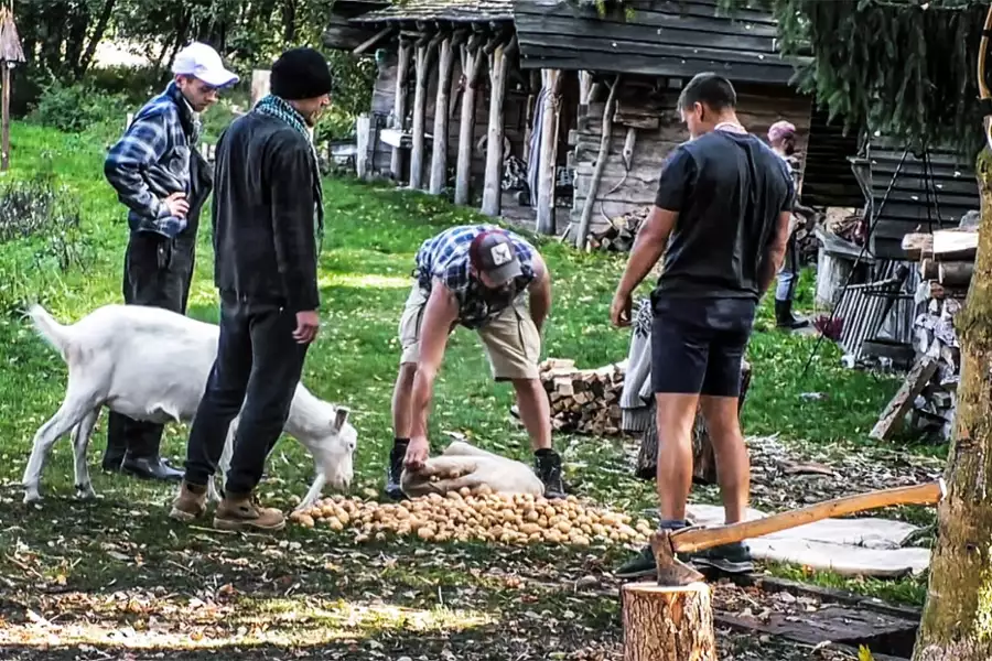 Farma - galeria zdjęć - filmweb